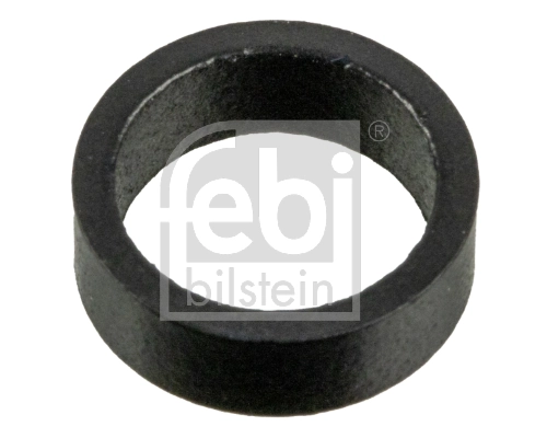 Seal Ring, injector